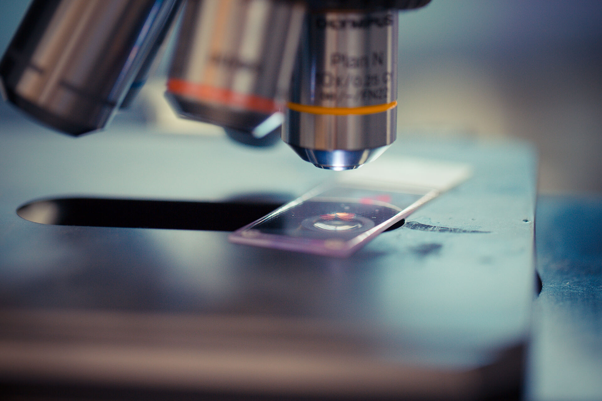 Medical professional reviewing reports